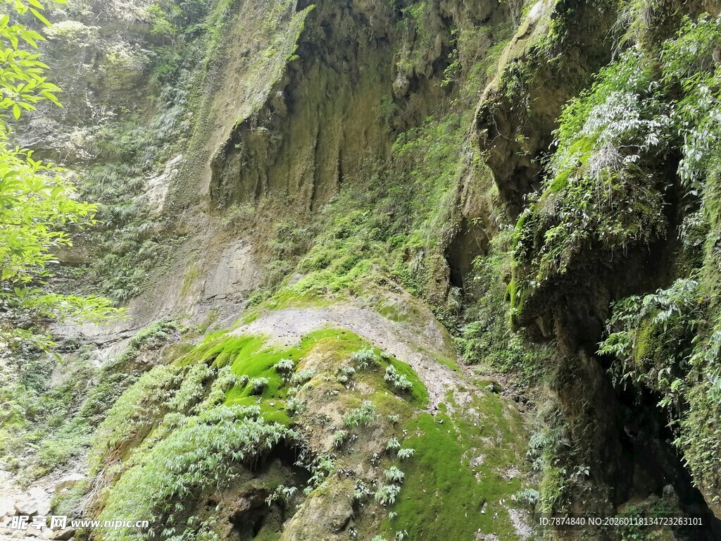 山间幽径 绿意萦绕的峡谷