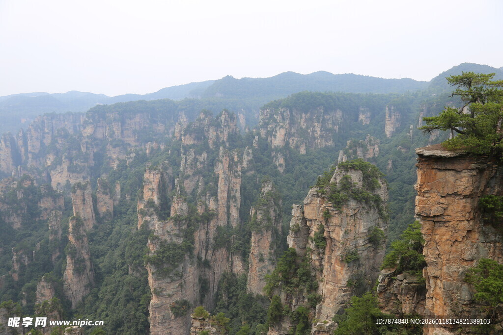 张家界奇峰美景