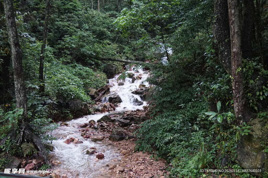 山林间的潺潺溪流