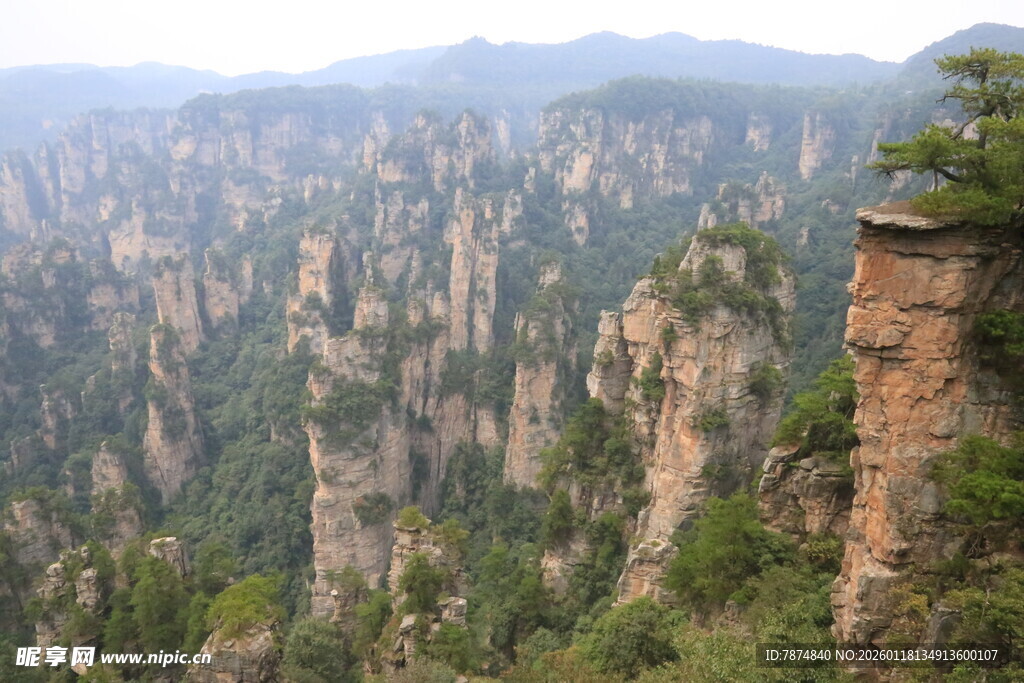 张家界奇峰美景