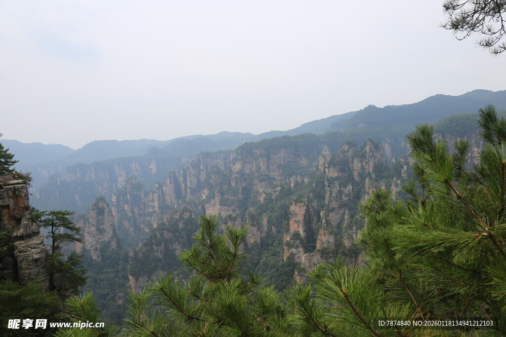 壮丽山峦间的翠绿景致