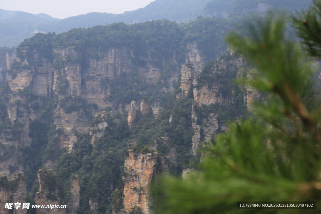 壮丽山景 松立悬崖之巅
