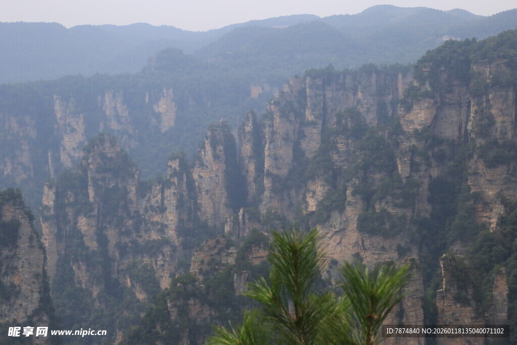 壮丽山峰与挺拔青松