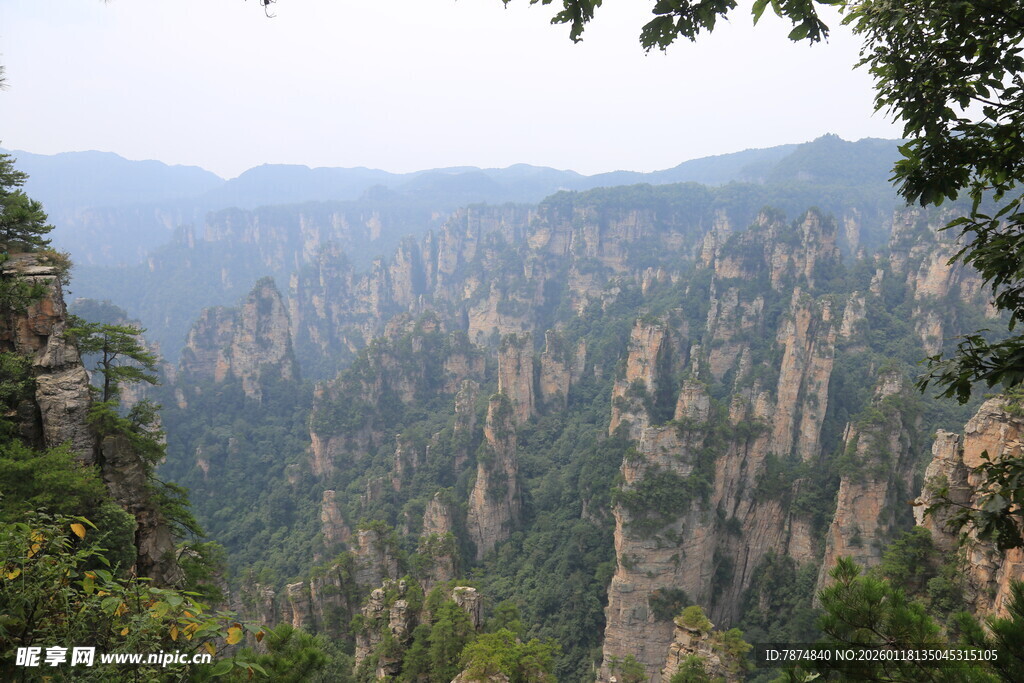 张家界奇峰美景