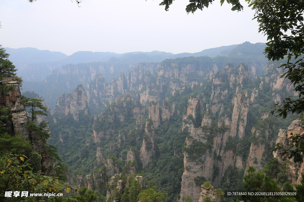 张家界奇峰美景如画