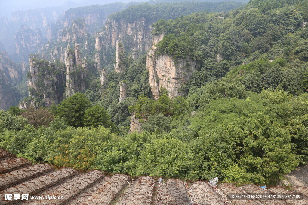 张家界奇峰与葱郁山林