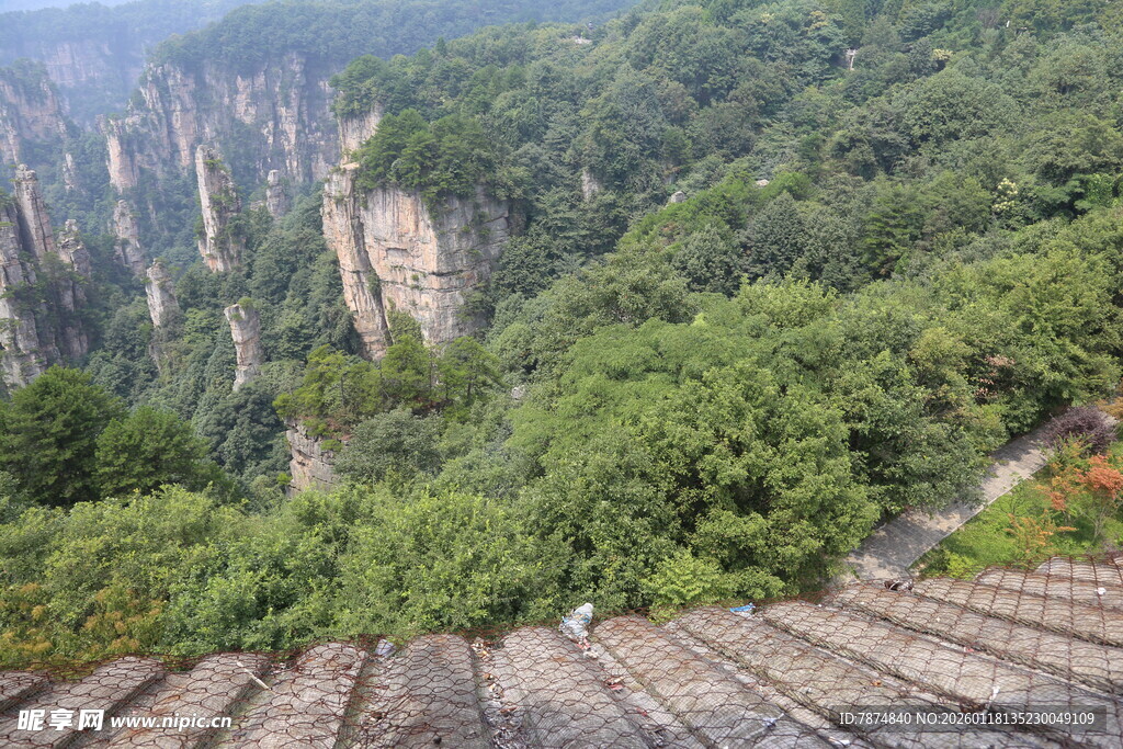 张家界奇峰绿意观景台