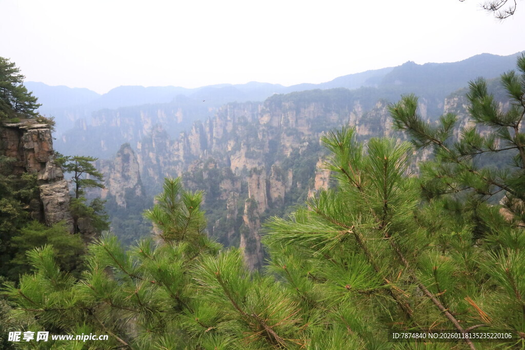 张家界奇峰异景