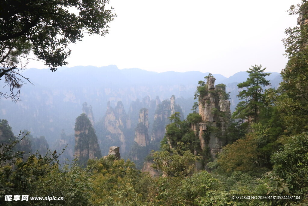 张家界奇峰异林美景