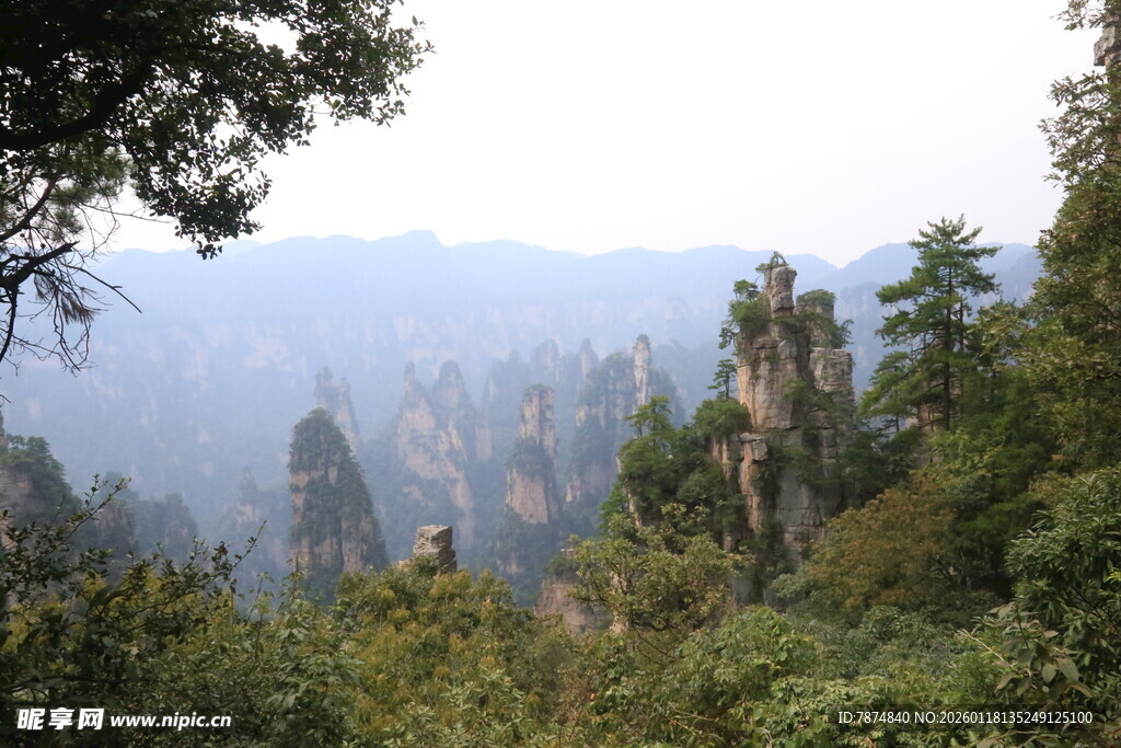 张家界奇峰异景