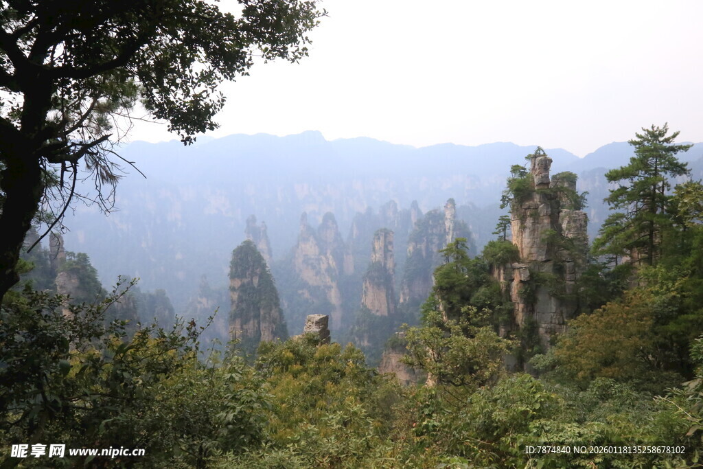 张家界奇峰异林美景