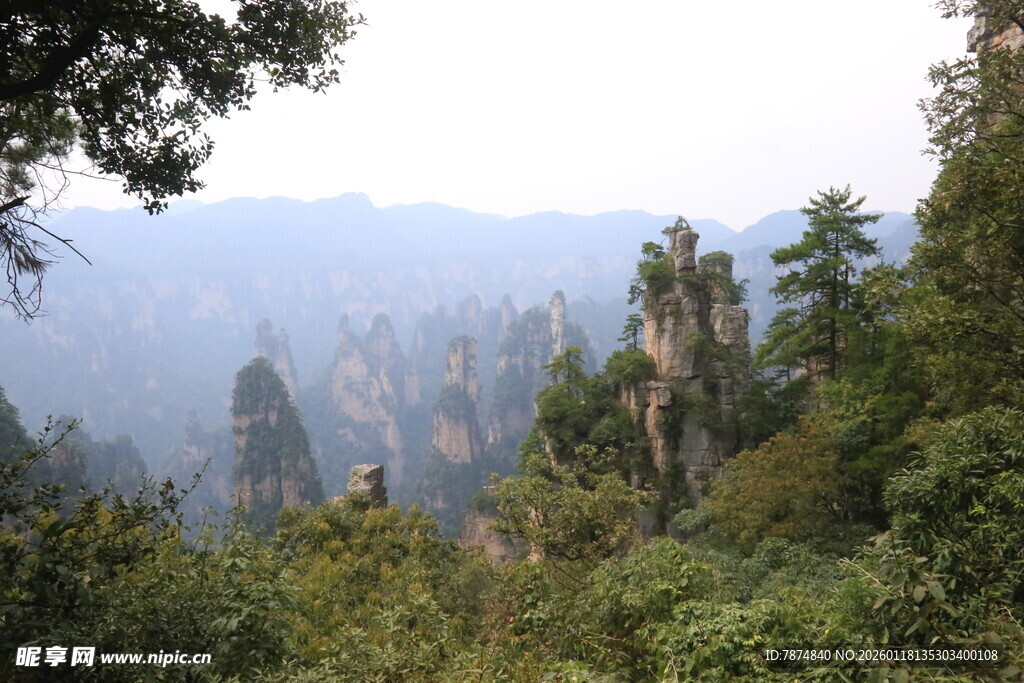 张家界奇峰异林景观