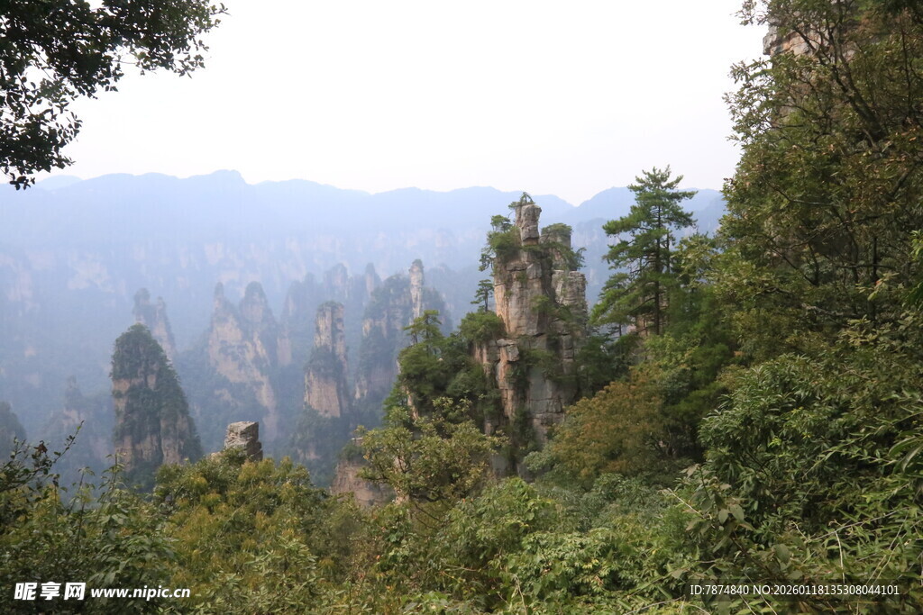 张家界奇峰异林美景