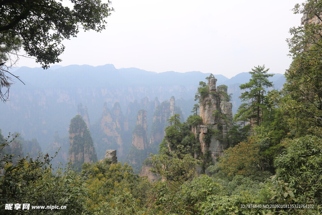 张家界奇峰林立美景