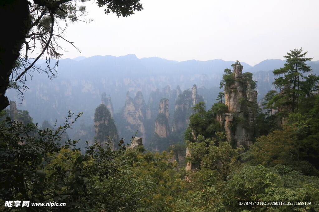 张家界奇峰异林景观