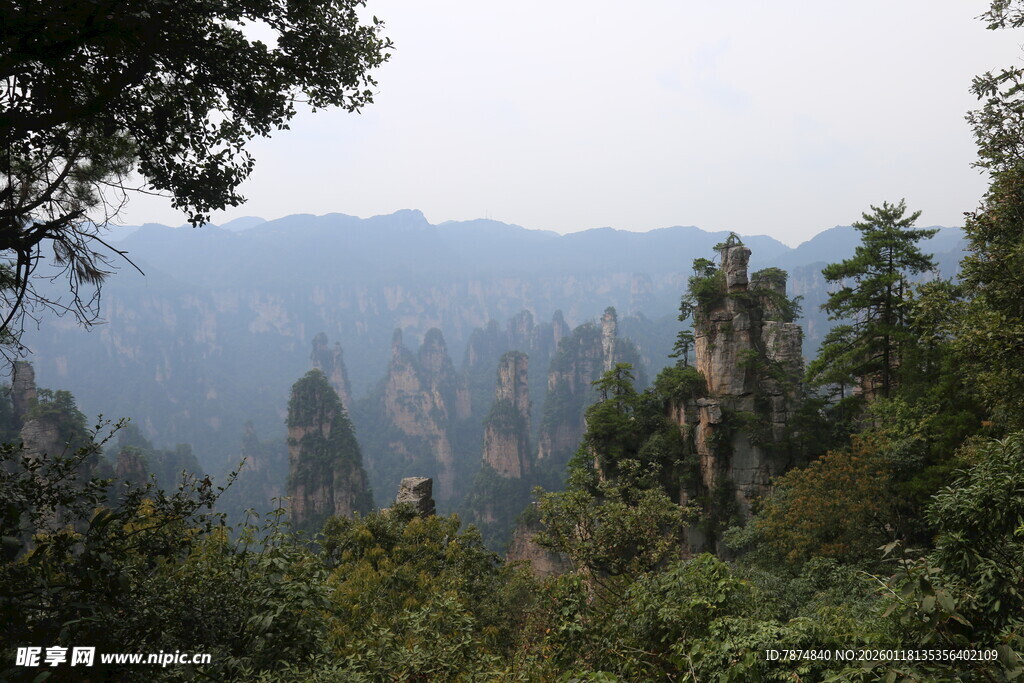 张家界奇峰秀林景观