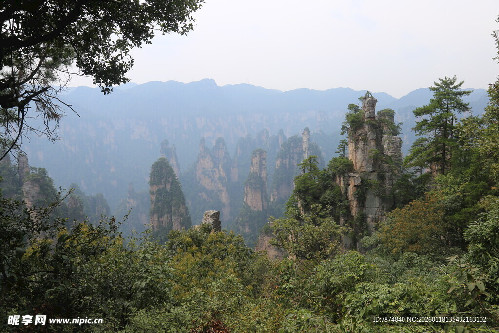张家界奇峰异林美景