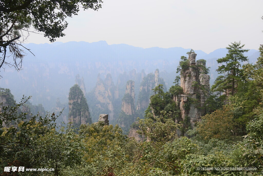 张家界奇峰异景景观