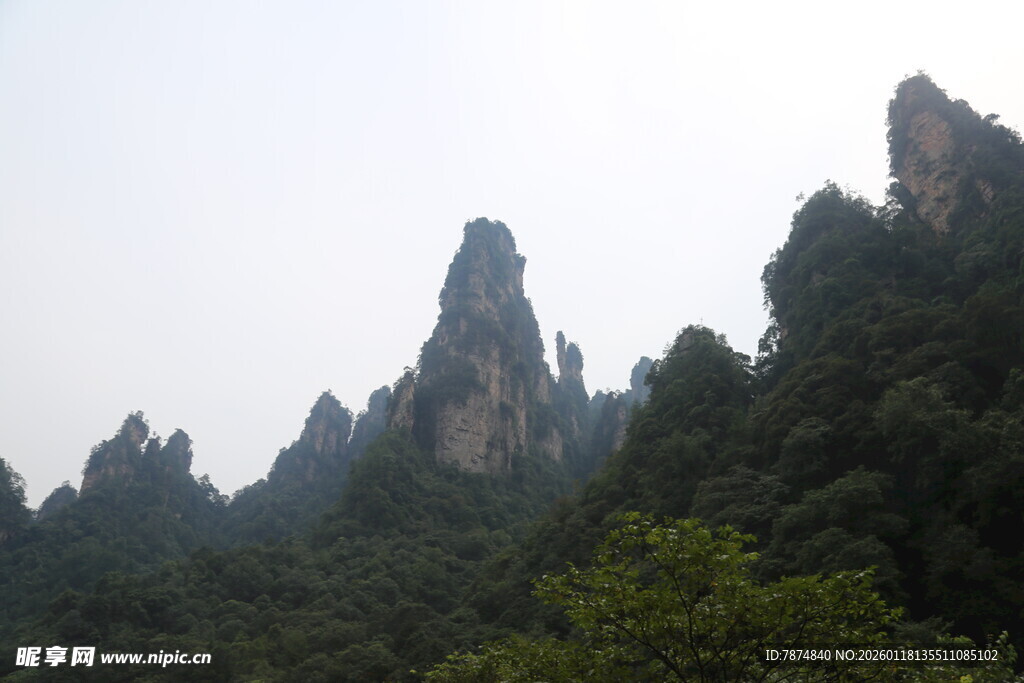 奇峰林立的壮美山林景观