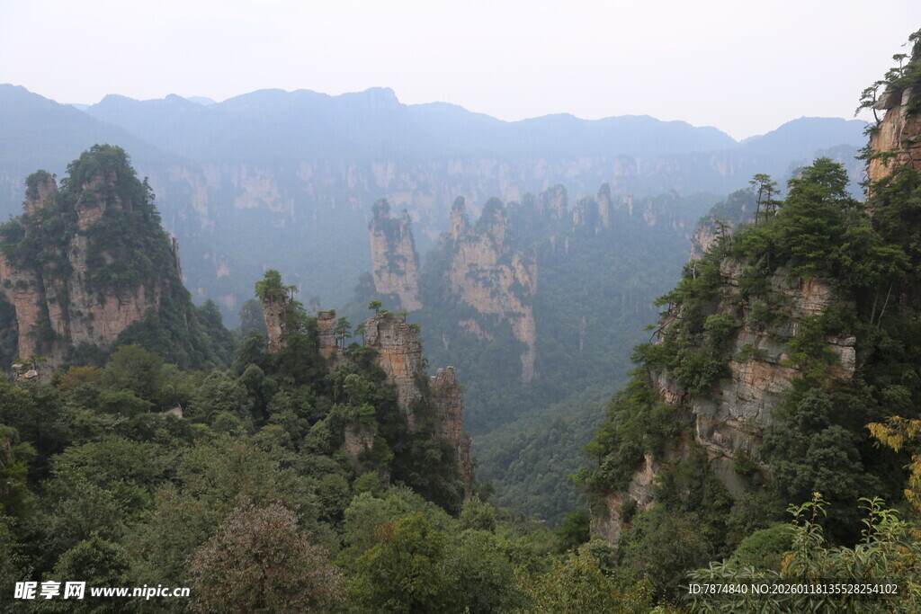 张家界奇峰林立美景