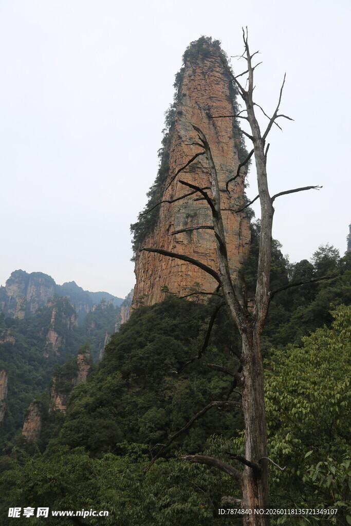 奇峰耸立的山林景观