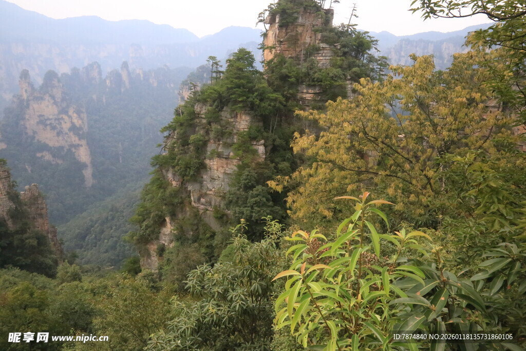 壮美奇峰间的葱郁山林