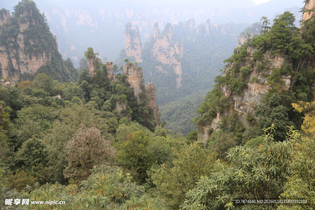 张家界奇峰秀林美景