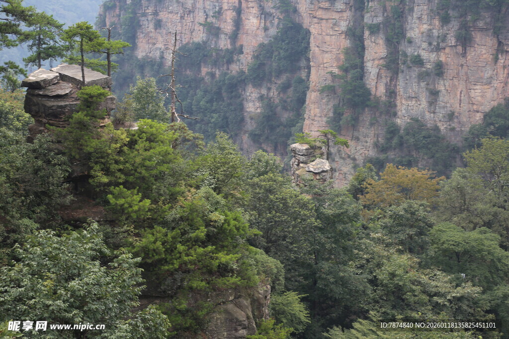 壮丽山林间的巍峨峭壁