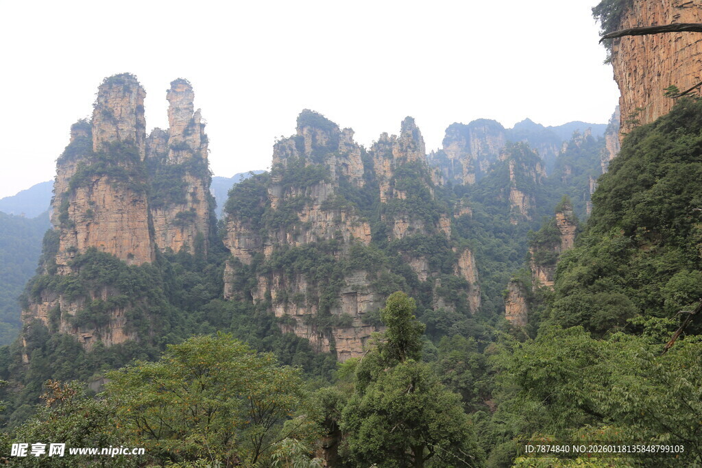 张家界奇峰异石景观