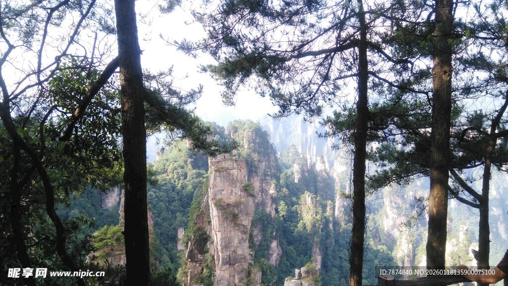 张家界奇峰林立美景