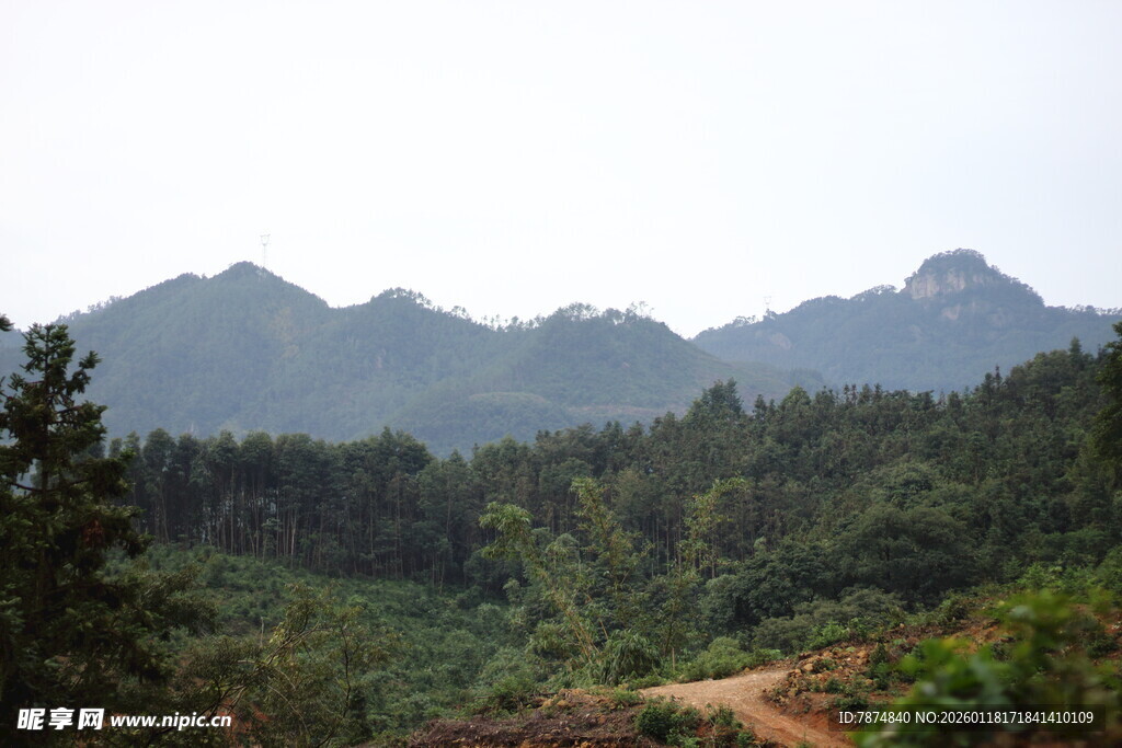 山林间蜿蜒小路美景