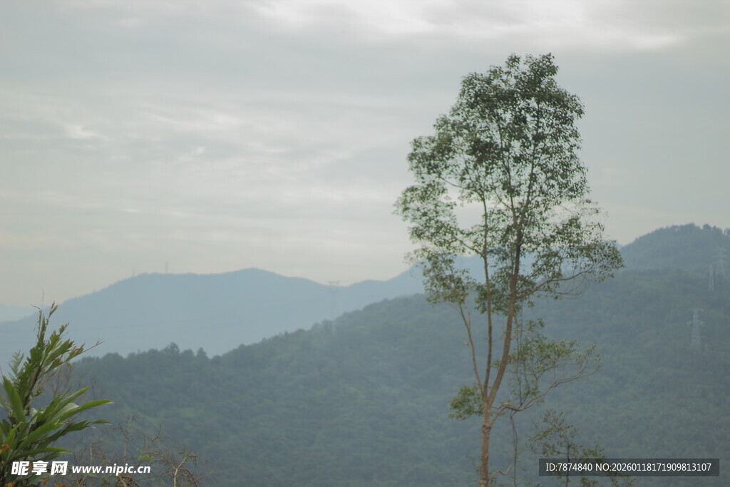 山间孤树 云雾缭绕之景