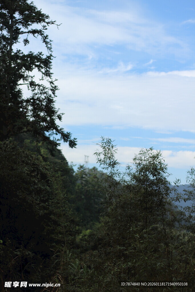 山林间的蓝天绿树景致