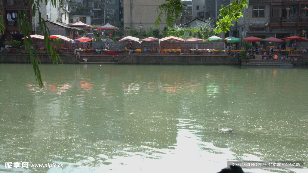 池塘景象