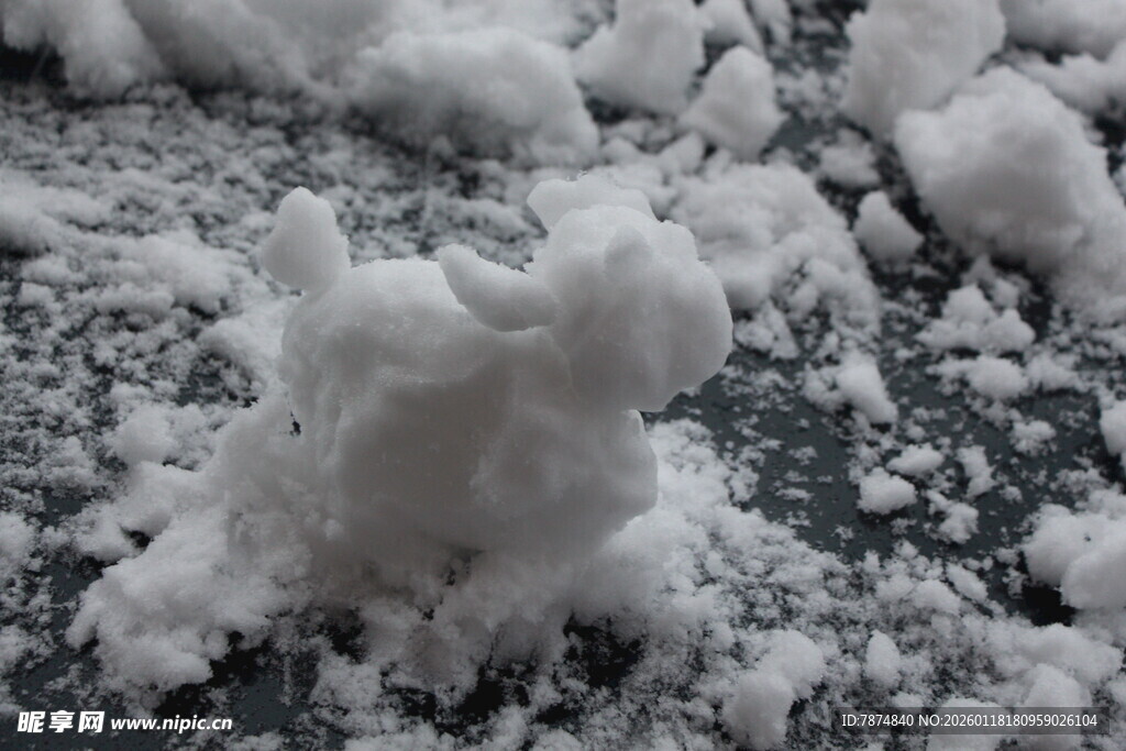 地面上的蓬松白雪