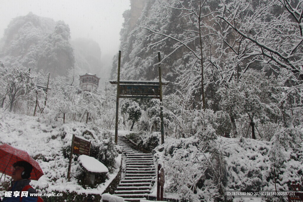 雪覆山间步道 景致清幽