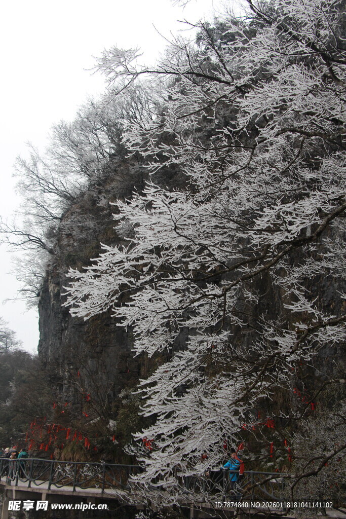 雪覆山林美景