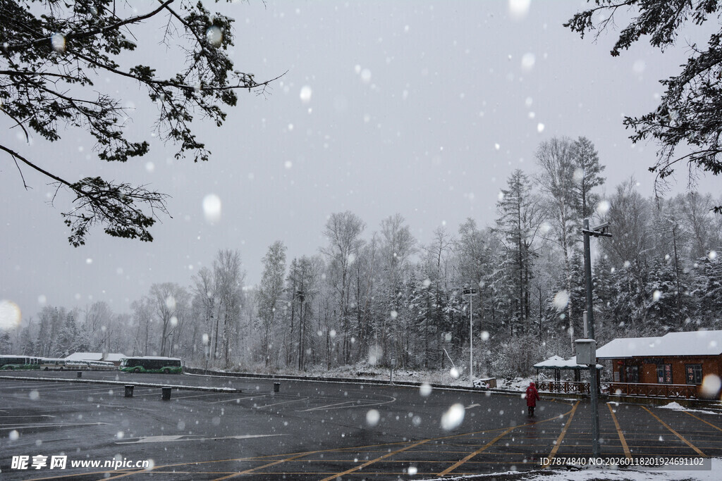雪天湖畔景色