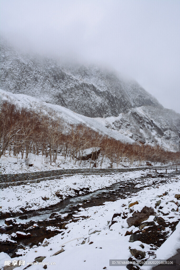 雪山下的蜿蜒道路