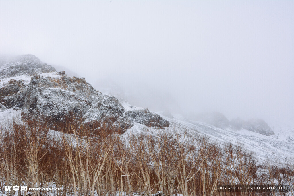 雪覆山峦旁的枯黄芦苇