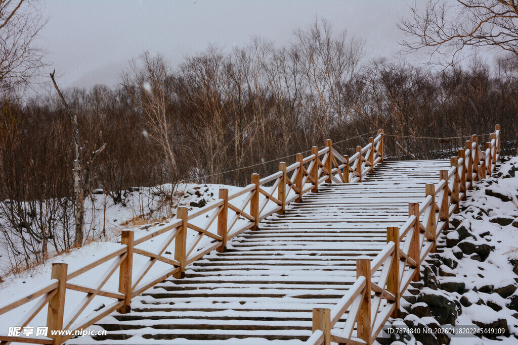雪覆木栈道 冬日静谧景