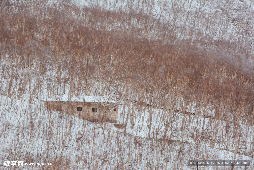 雪地中的古老小屋