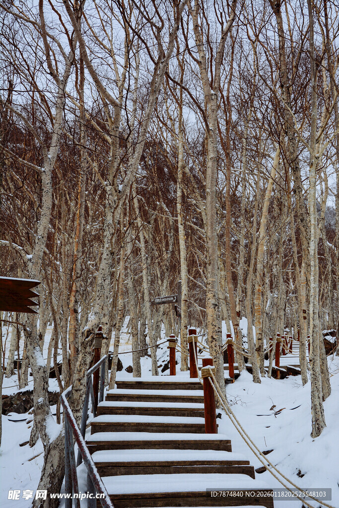 雪覆林间木阶 静谧冬景