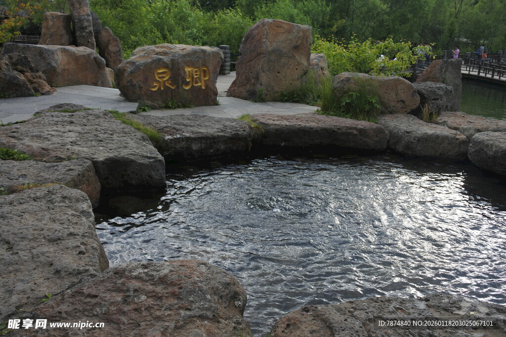 庭院中的静谧水景池