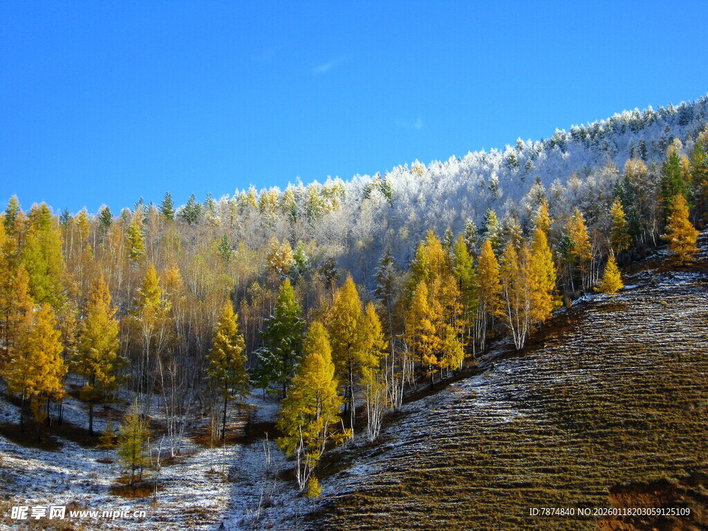 秋日山林雪景风光