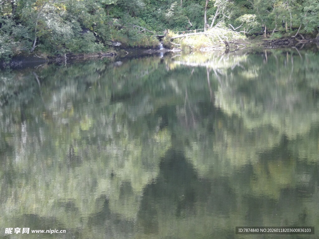 宁静湖面倒映葱郁山林