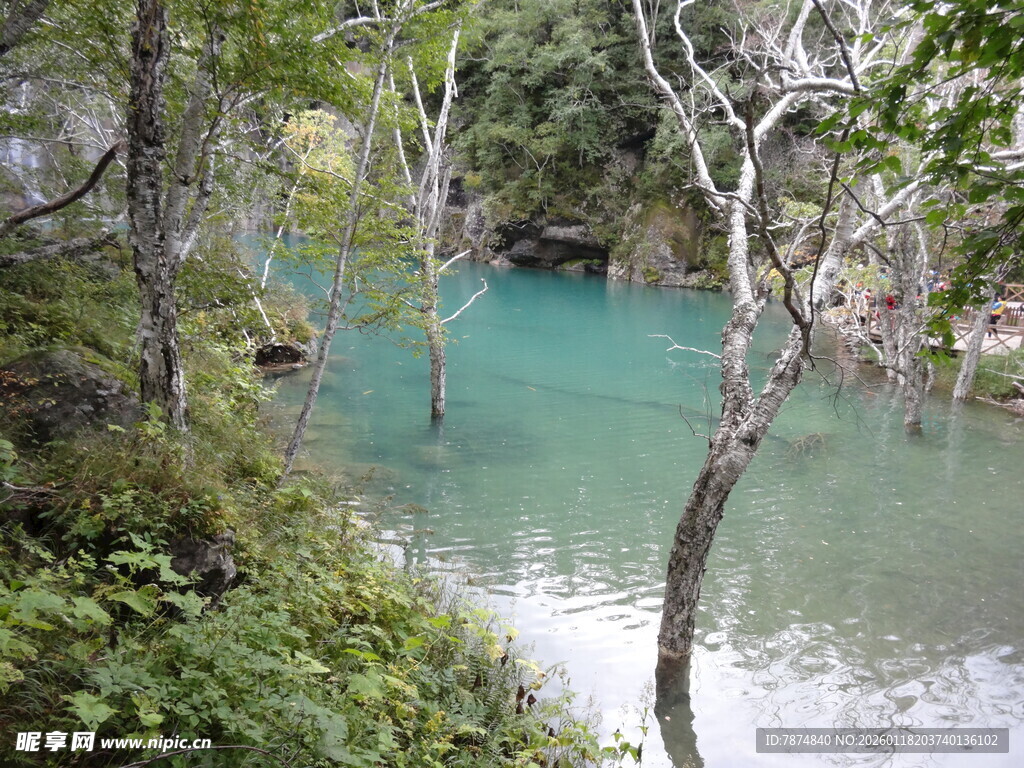 山间碧绿水景 清幽自然