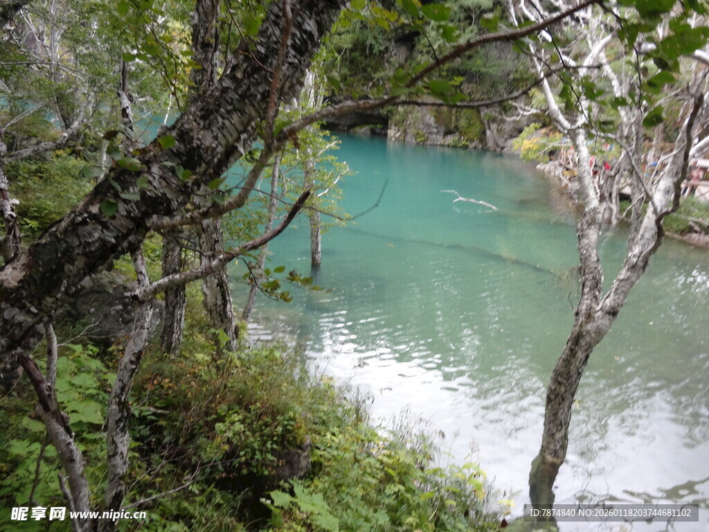 山间碧湖 林木环绕之景