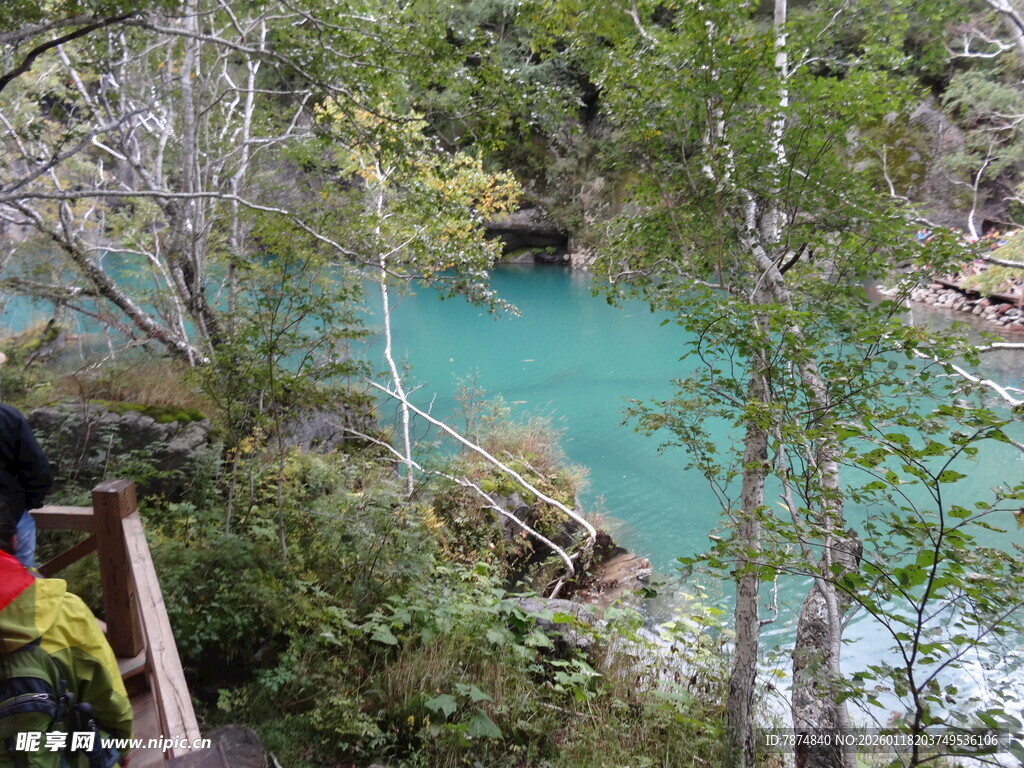 山间蓝湖旁的繁茂景致