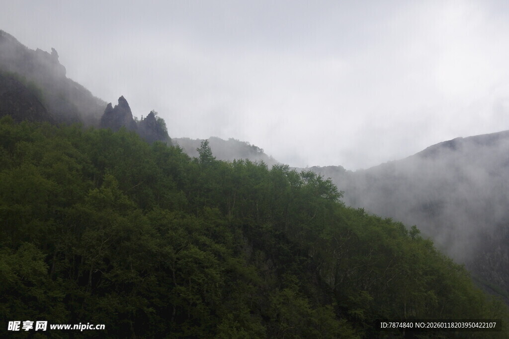 云雾缭绕的翠绿山峦